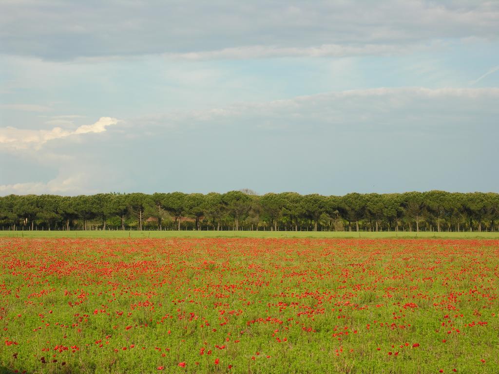 Appartamenti Alaska Bibione Exterior photo
